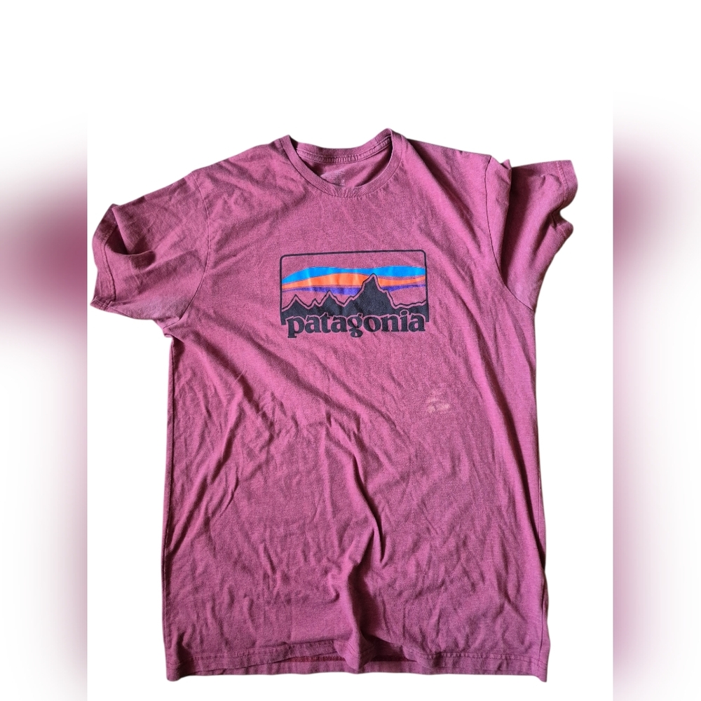 Patagonia Pink Graphic Logo Tee